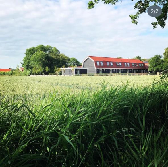 Vakantiewoning De Schelp Ellemeet Exterior photo